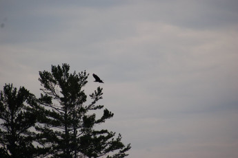 7d60e909-d6e1-4e7a-a5c5-0814cb61a4a6