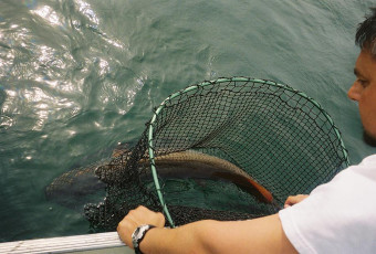 7de3e7a1-4064-4992-a67b-f870cba32f30