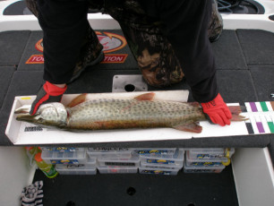 7e824c3b-4fea-4ed5-a659-77e2ac963b23