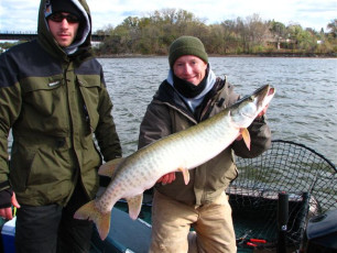 7f7436f5-cecc-4bfa-bb13-ae6181bd831e