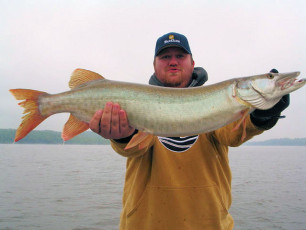 7f7bd89b-897f-46e2-b482-0d460d13dc49