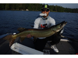 8017F991-3D25-4BEA-9206-77D67B939382