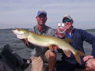 804A3A12-9AF3-4011-AA2E-BC2CE4D95D39