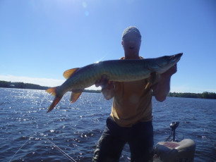 8089F3DD-48BB-4BDF-902C-811632DCAA7D