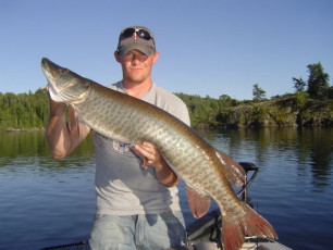 80962696-916D-4C05-9F95-F7C8F783B247