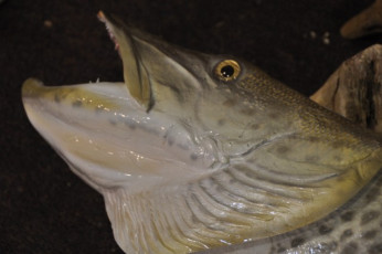 80E12AF5-795E-4D3C-9A37-E1BCEBC2F5DE