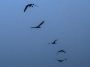 80F2A3C3-4F1B-48A6-98CE-B59E21C3336B