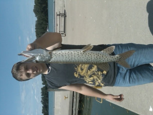 80FC069A-AD1C-4CBA-9E3E-131B1DA7C782