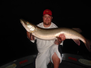 80d03a6c-10a3-46b4-80db-e66c25b2d239