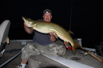 81056816-6F52-4921-8C62-9EA938604780