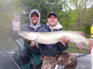 8176E260-3FB0-4911-98D7-4DE1655533DE