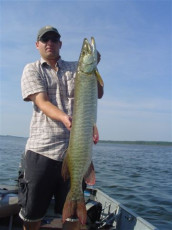 81BB5D67-4AA6-454F-B794-922EC35B8AA8