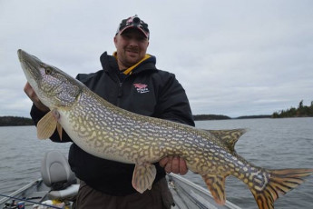 81CC01E9-1F3D-4F66-9EC1-2EF4BB40D5F0