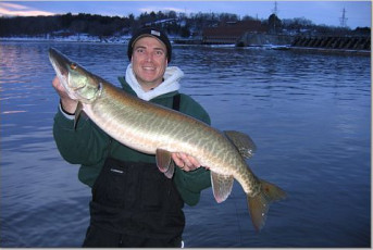 82073764-D93B-493A-9EC8-6FA84BF1CB2B