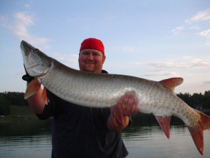 82080a52-e3ca-4e4e-9b7c-9a74661a4ee0