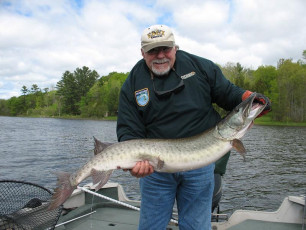 8234b784-2911-42b9-a71a-113945c013f3