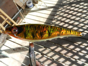 82352883-009F-4A38-AF2F-EBCB4D20D890