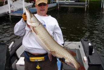 823920CB-BB56-4028-9C1D-FE107C036296