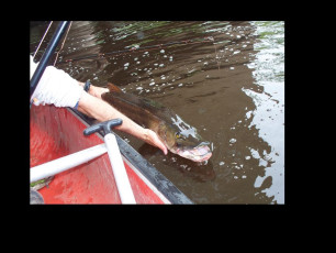 823B1077-0A53-4694-BD07-401BC5454E43