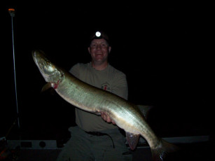 82684C10-FF5E-4770-85CF-2CACC7C6828D