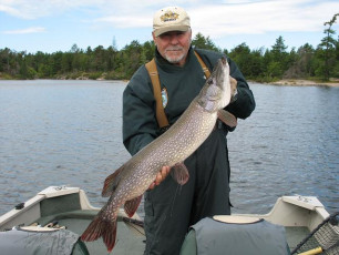 82c34bc7-74e5-4293-a64e-0627a0718203