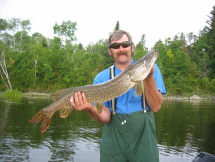 83e67e02-cc7a-4b3e-ac9f-ffbc9bc374b0