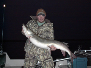 8433b31d-e51a-486f-8857-7de08340762d