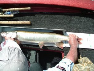 845C36D9-4777-4180-B01F-13FB1DDEB73E