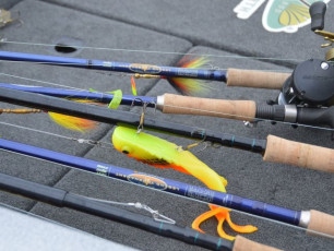 84CB40FD-3A4A-413E-8F87-249965EC4FE8