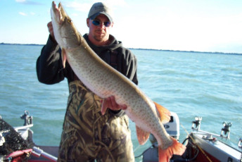 84ab155c-1c76-4770-a729-d74dacddbee3