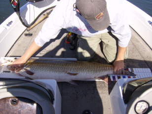 85070cf0-6be6-4fce-9bcf-212b97b55459