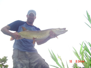 85329346-4EFF-4F9A-A7CD-496063DE793A