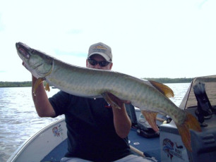 8579840E-8AE9-45ED-8F1A-527786580436