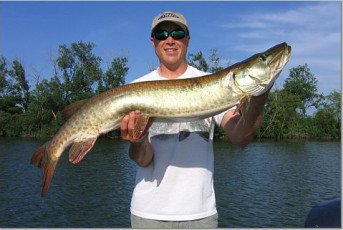 8592F83B-77E7-4CFD-953C-B18F937F541B