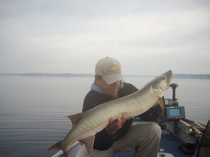 85C58408-EB6D-4D25-B996-5E942AFB5595