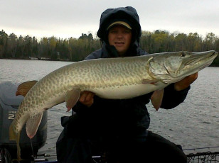 85CA60A6-B6D2-4327-BA2D-FCC7881D6901