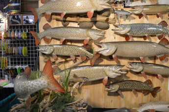 85EF38F1-0C62-41DA-8EB7-2AEB6A1F6E6B