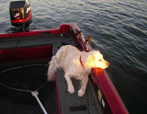 86283c42-2ce6-402c-8bb2-5743ffce2170