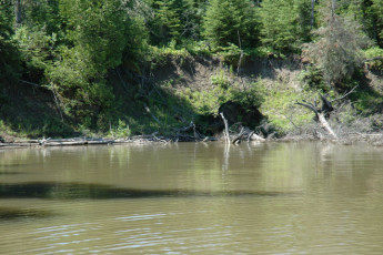 8628d9b9-f247-4617-86c7-5c184df1029d