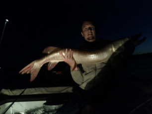 86305F3F-0DD4-4253-95A3-FA93E38549E4