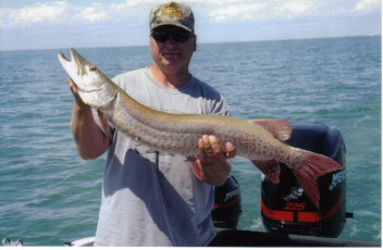 863a71fa-28ad-469d-954b-f323810223f6