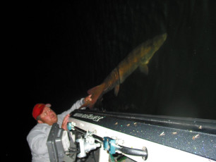 863c3211-39a4-4e97-a316-5d48d8d7a416