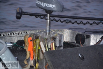 86858725-494E-40C0-9C76-E602B81E1B67