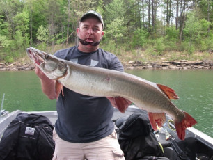 86F02050-4970-4ED1-B694-AE8217D6F674