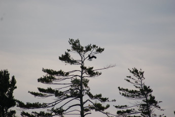 87173c12-e1a3-4ecd-8d30-b2a45d09356d