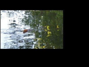 87419520-B388-4A48-93B4-B3F47CDF2C6C