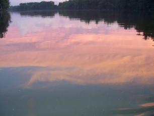 8775E217-D34E-40E2-877F-EAF391C93185