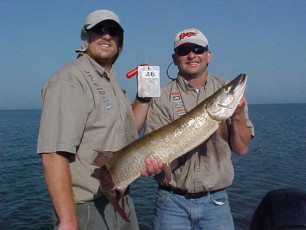 8779095D-89AF-483B-8811-276E7074252D