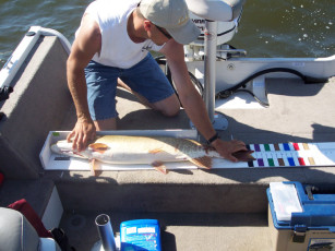 8789a380-b31d-4480-97c6-a6296637f7ca