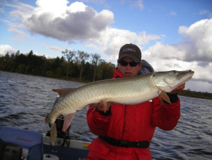 87C60FCC-FF57-43CF-BB8E-0FC73584A927